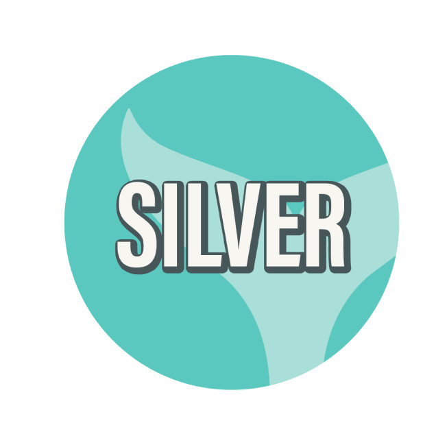 Silver award