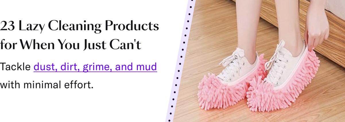 23 Lazy Cleaning Product for Wehn you just can't