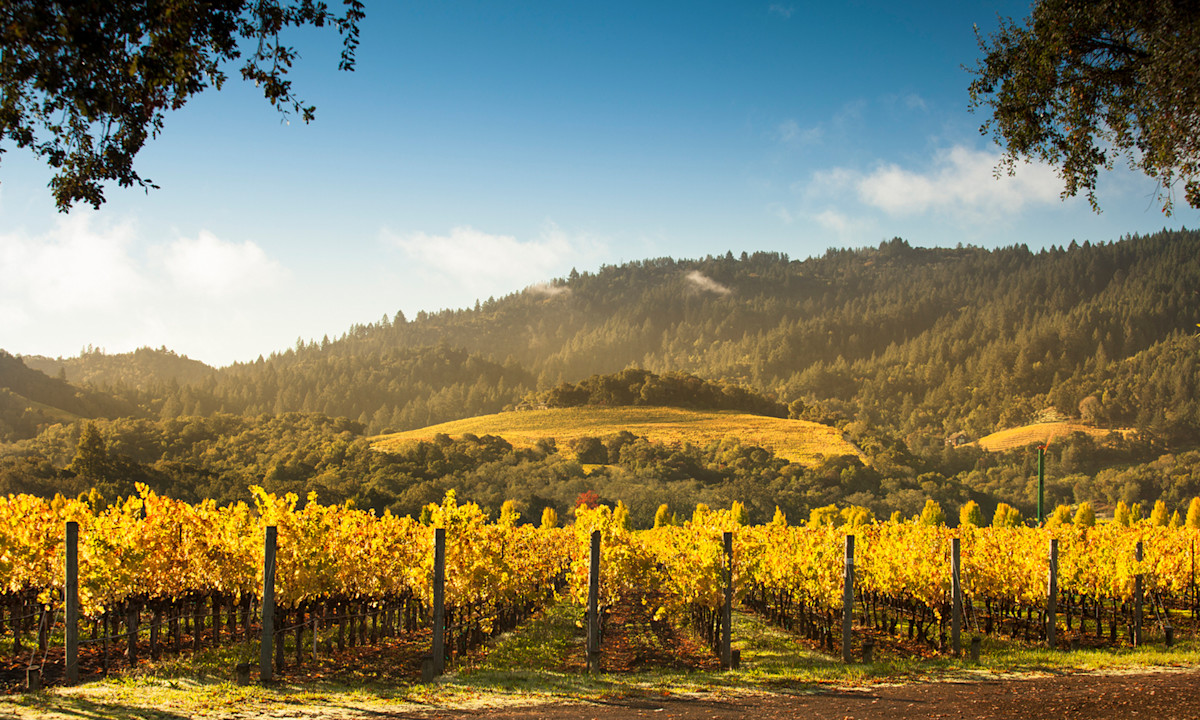 Healdsburg, California Is a Can't-Miss Sonoma County Gem
