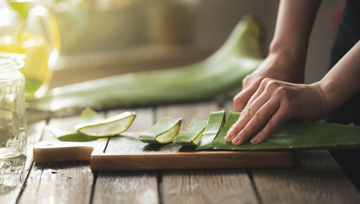 How To Store Your Aloe Vera Gel so It Stays Usable Longer | theSkimm