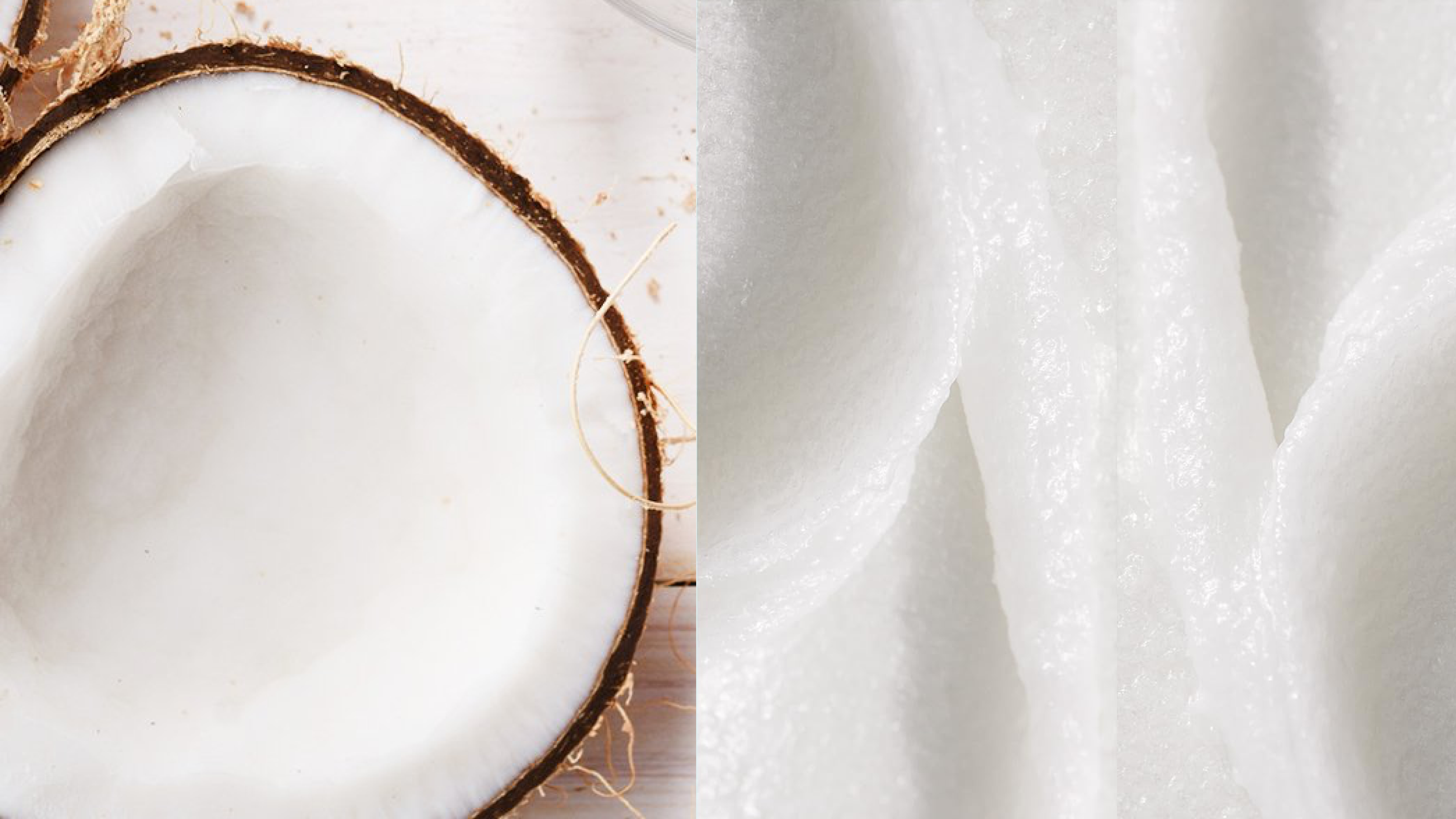 Yes, It's Typically Safe To Use Coconut Oil as LubeBut There's A Catch |  theSkimm