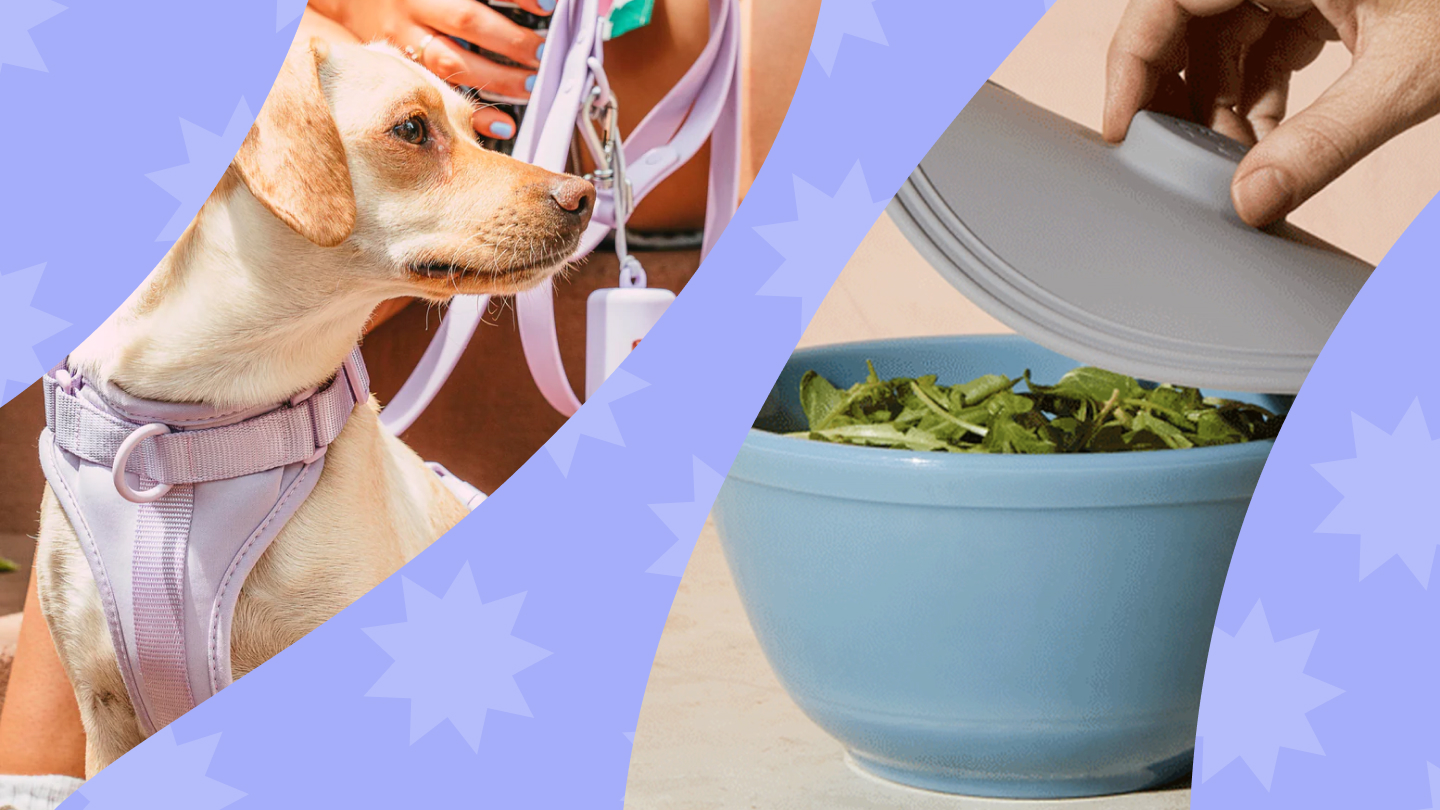 Dog leash and salad bowl gifts