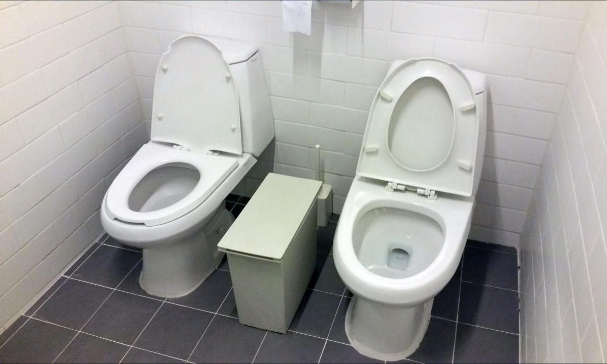 side-by-side toilets
