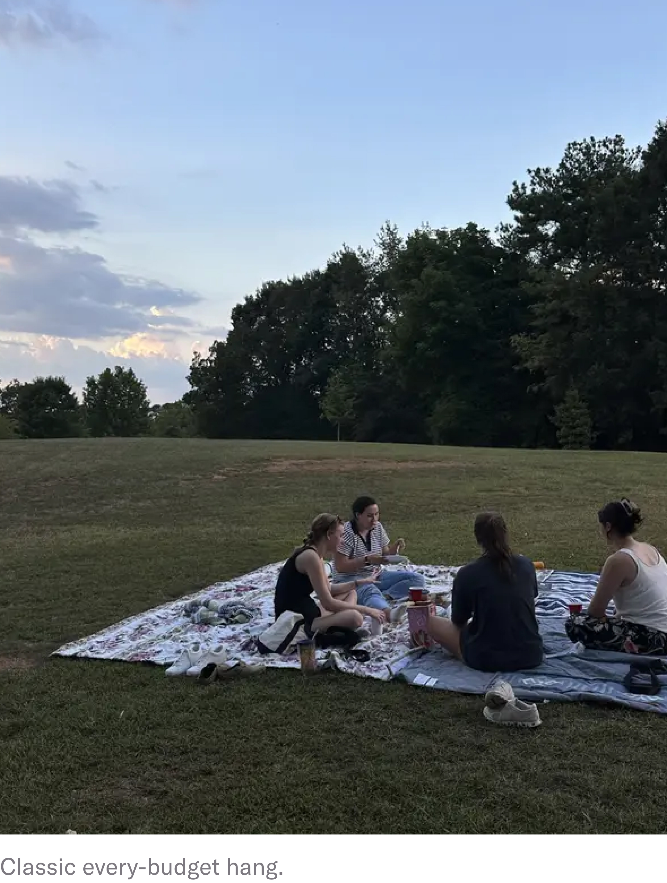 friends at a picnic