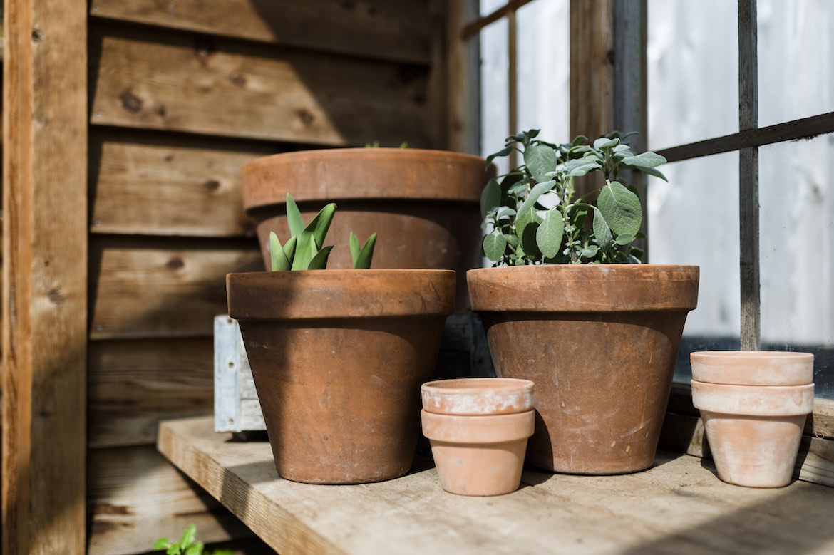 Skipping This Step With Your Terra Cotta Pots Could Be Dr... | theSkimm